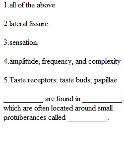 Quiz 6